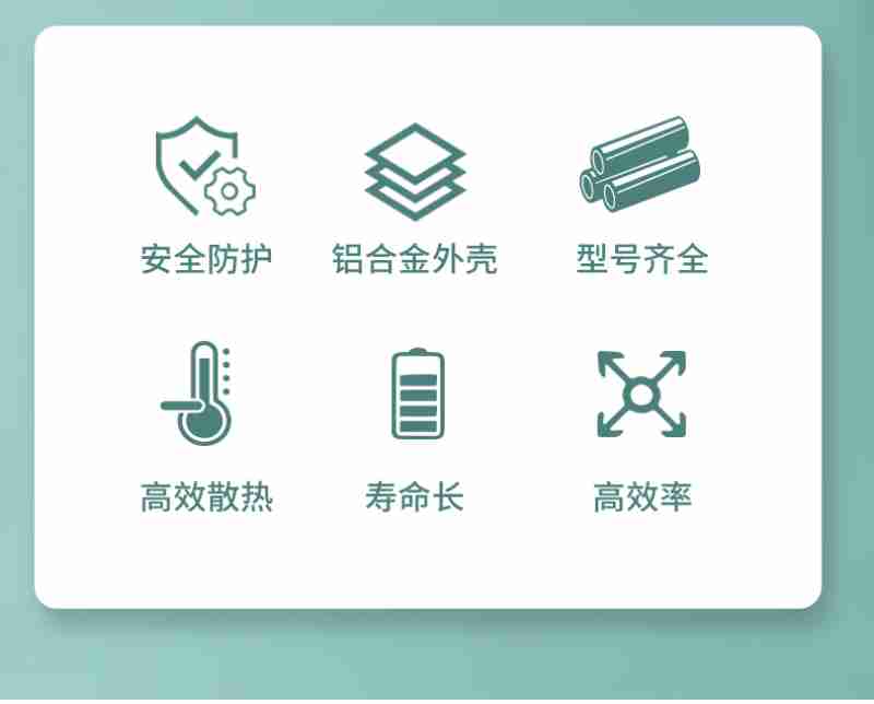 2019年,陈学汉(二排左一)等人和海口市五源河学校学生在新加坡留影。陈学汉供图